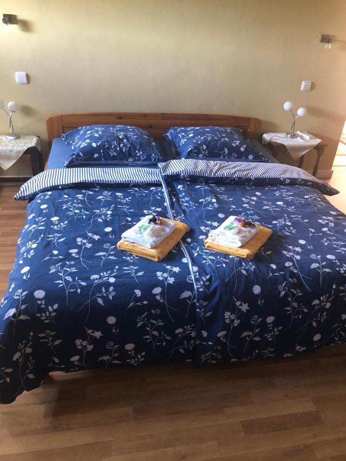 Ubytovani V Soukromi Rodinne Vily V Decine Dış mekan fotoğraf